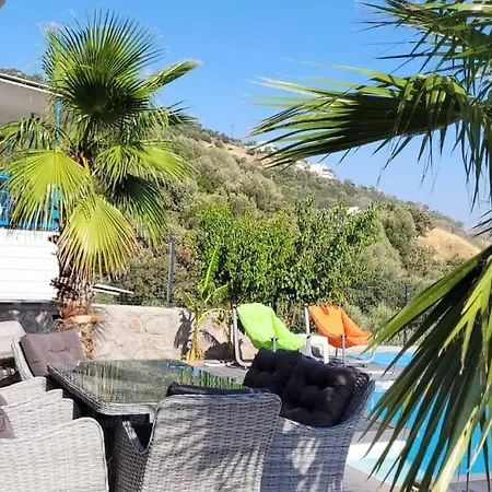 With Private Pool And Sea View
